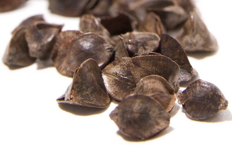 Приятный запах, массажный эффект, гигиеничность – достоинства гречневого наполнителя На фото – наполнитель из гречневой лузги